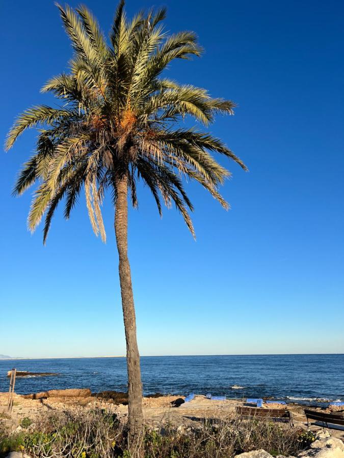 Rocasol Denia - Marina Real II Lägenhet Exteriör bild